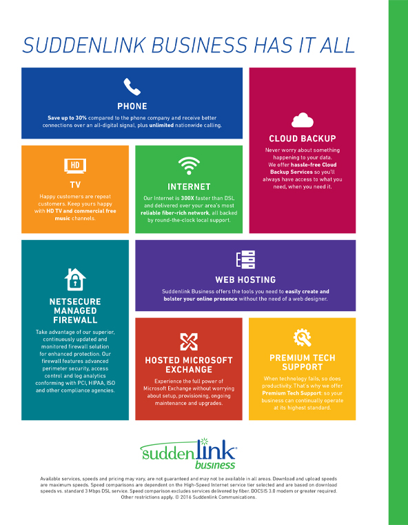 sudenlink business infographic with descriptions of common tech words