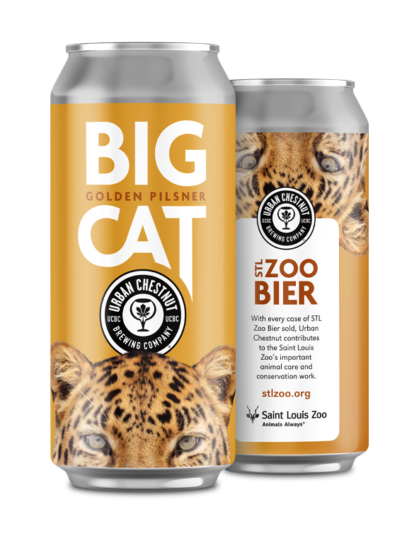 front and back of the big cat golden pilsner can with a cheetah on it