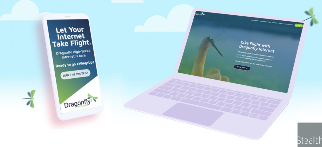 Display Ads and Landing Page